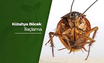 Kütahya Böcek İlaçlama