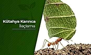 Kütahya Karınca İlaçlama