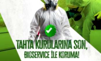 Tahtakurusu: Evinizdeki Gizli Tehlike