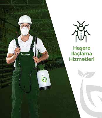 Haşere İlaçlama Hizmetleri