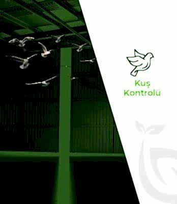 Kuş Kontrolü
